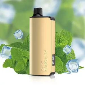 ALIBARBAR INGOT COOL MINT-9000 puffs